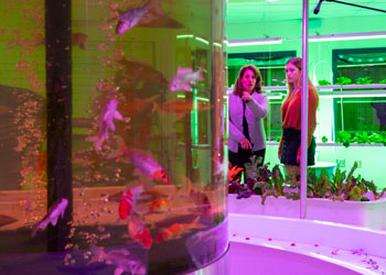 Delozier Highlights Cross-Discipline Educational Opportunities at Cedar Cliff High School Aquaponics Lab 
